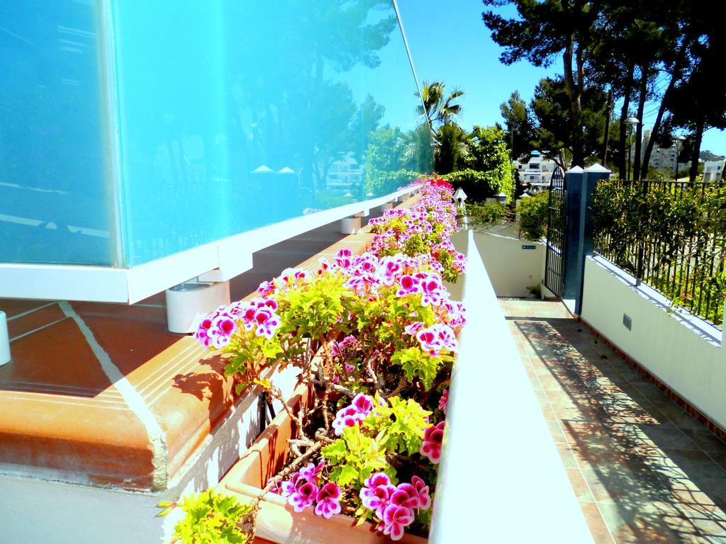 Apartamentos Petit Blau 파게라 외부 사진